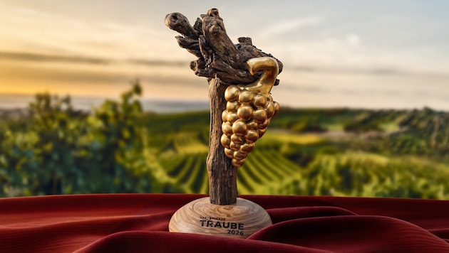 Hohe Qualität, ein spannendes Konzept und die starke Marke Burgenland – das sind die ...