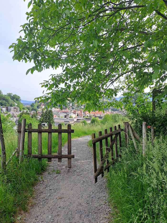 Der Spazierweg in Feldkirch Reichenfeld.