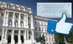 Die Justiz ist gefordert, die aktuellen gesetzlichen Regelungen zu verbessern.