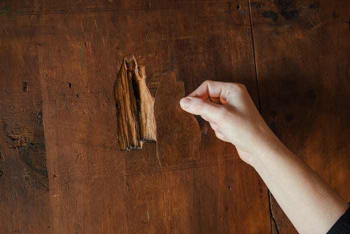Täuschend echt, nur einige Jahrhunderte jünger: Holz-Ersatz aus dem 3D-Drucker