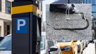Eine Würfelnatter verirrte sich wohl durch ein Leitungsrohr in einen Parkautomaten – das Tier ...