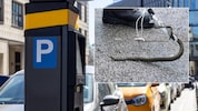 Eine Würfelnatter verirrte sich wohl durch ein Leitungsrohr in einen Parkautomaten – das Tier ...