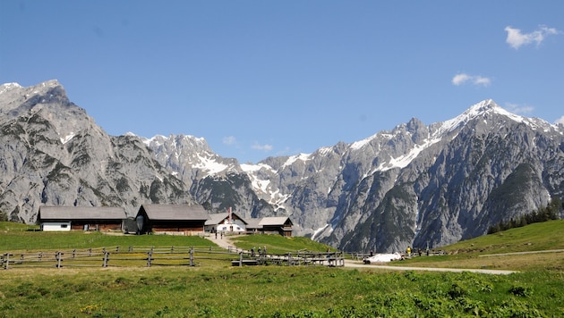 Postkartenmotiv: Die Walderalm im Karwendel