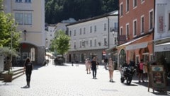 Unbekannte Diebe schlugen in Hallein zu.