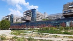 In einer vierstündigen Operation in der Klinik Floridsdorf wurde der gewaltige Tumor entfernt.