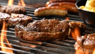 Von insgesamt 334 analysierten Grillprodukten in den Flugblättern waren lediglich neun derartige ...