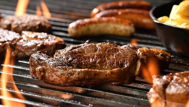 Von insgesamt 334 analysierten Grillprodukten in den Flugblättern waren lediglich neun derartige ...