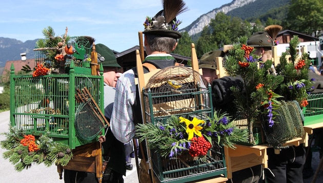 Im Salzkammergut gibt es etwa 500 Vogelfänger.