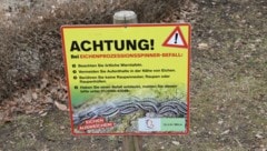 Auch in Wien werden Eichenprozessionsspinner regelmäßig zum Problem.