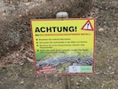 Auch in Wien werden Eichenprozessionsspinner regelmäßig zum Problem.