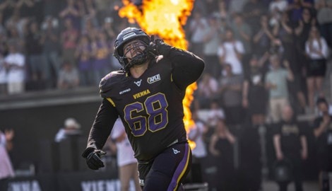 Vienna Vikings