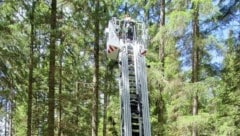 Ein 31-jähriger Paragleiter stürzte bei Mariazell 200 Meter in die Tiefe und blieb unverletzt – ...