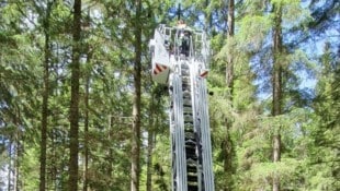 Ein 31-jähriger Paragleiter stürzte bei Mariazell 200 Meter in die Tiefe und blieb unverletzt – ...