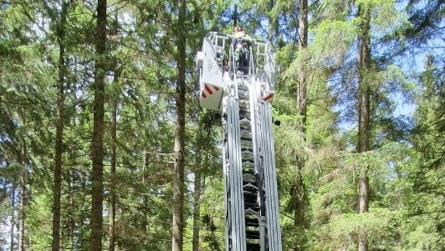 Ein 31-jähriger Paragleiter stürzte bei Mariazell 200 Meter in die Tiefe und blieb unverletzt – ...