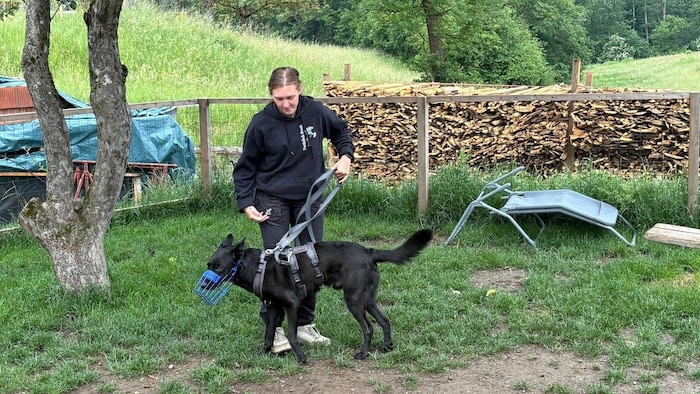 Korrektur gehört zum Training dazu.