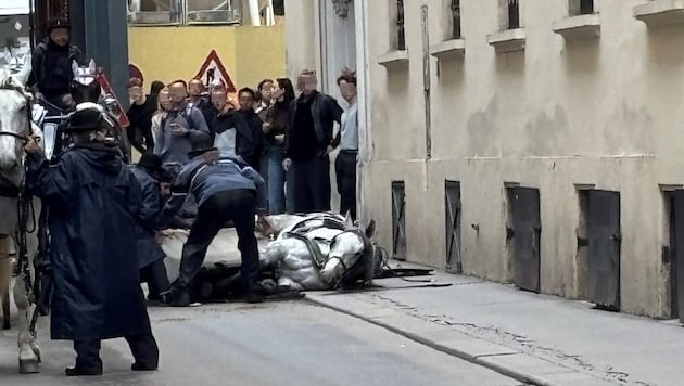 Der Kutscher eines Fiakergespanns fiel vom Bock und wurde überrollt, zwei Fahrgäste wurden ...