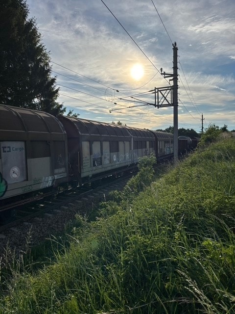 Region in shock - Devastating train-car collision claims two lives ...