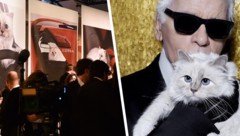 Lagerfeld „beschwerte“ sich im Jahr 2012, die französische Birma-Katze sei berühmter als er.