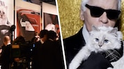 Lagerfeld „beschwerte“ sich im Jahr 2012, die französische Birma-Katze sei berühmter als er.