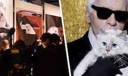 Lagerfeld „beschwerte“ sich im Jahr 2012, die französische Birma-Katze sei berühmter als er.
