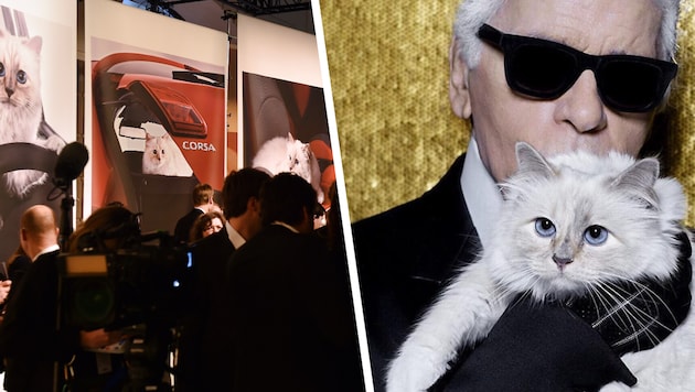 Lagerfeld „beschwerte“ sich im Jahr 2012, die französische Birma-Katze sei berühmter als er.