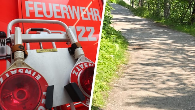 Auf einem Forstweg kam es zu dem Unfall. Die Feuerwehr rückte an (Symbolbild).