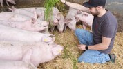 Vier von fünf Österreichern wollen eine verpflichtende Herkunftskennzeichnung in der ...