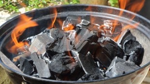 Normen und Marken können bei Grillkohle Sicherheit geben.