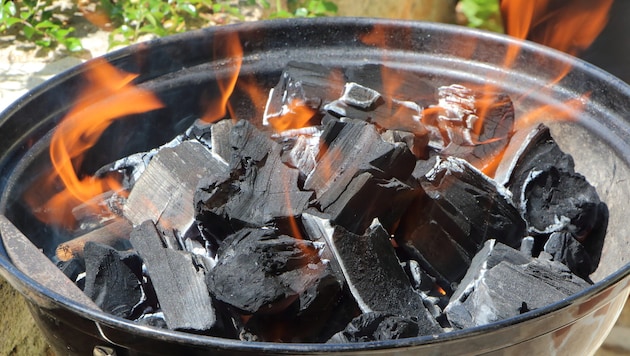 Normen und Marken können bei Grillkohle Sicherheit geben.