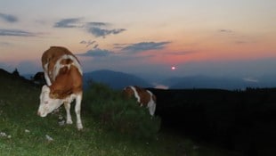 Nach einer sternenklaren Nacht zeigt sich am Samstagmorgen vielerorts wieder die Sonne. ...