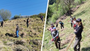Die Mitarbeiter von Handl Tyrol bewiesen, dass sie ein Herz für Mutter Erde haben.