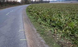 Genau hier geschah am 7. November der schreckliche Unfall.