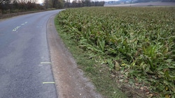 Genau hier geschah am 7. November der schreckliche Unfall.