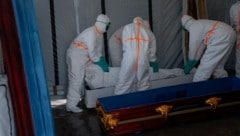 Rot-Kreuz-Mitarbeiter transportieren im Kongo ein Ebola-Todesopfer ab. 