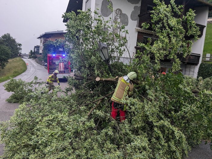 In Bruck stürzte ein Baum auf eine Straße und demolierte eine Straßenlaterne.