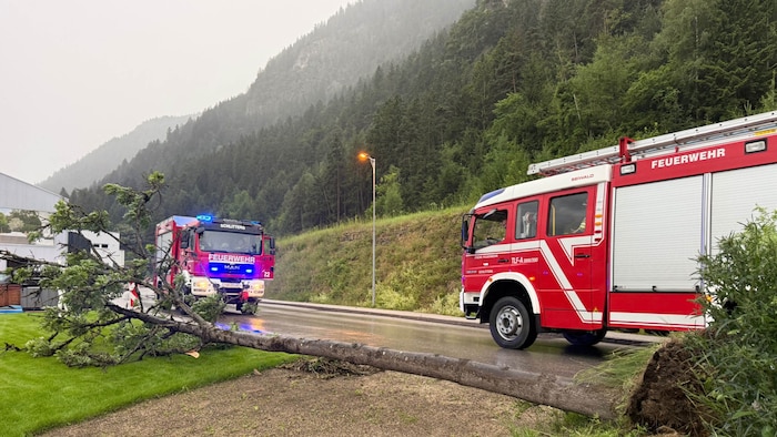 In Schlitters wurde ein Baum entwurzelt.