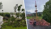 Zahlreiche umgestürzte Bäume hielten die heimischen Feuerwehren auf Trab.