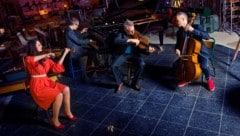 Das Fauré Quartett feierte im Jahr 2025 sein 30-jähriges Jubiläum