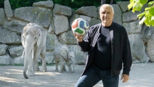 Hans Krankl zu Besuch bei den Elefanten in Schönbrunn
