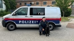Polizeihund „Nox“ nahm die Fährte des geflohenen Häftlings auf. 