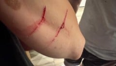 Seit Monaten dürfte der Kater in einer Siedlung in Korneuburg für Probleme sorgen. 