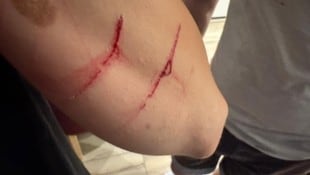 Seit Monaten dürfte der Kater in einer Siedlung in Korneuburg für Probleme sorgen. 