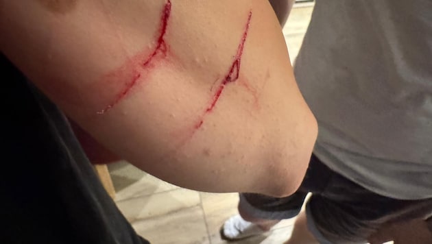 Seit Monaten dürfte der Kater in einer Siedlung in Korneuburg für Probleme sorgen.