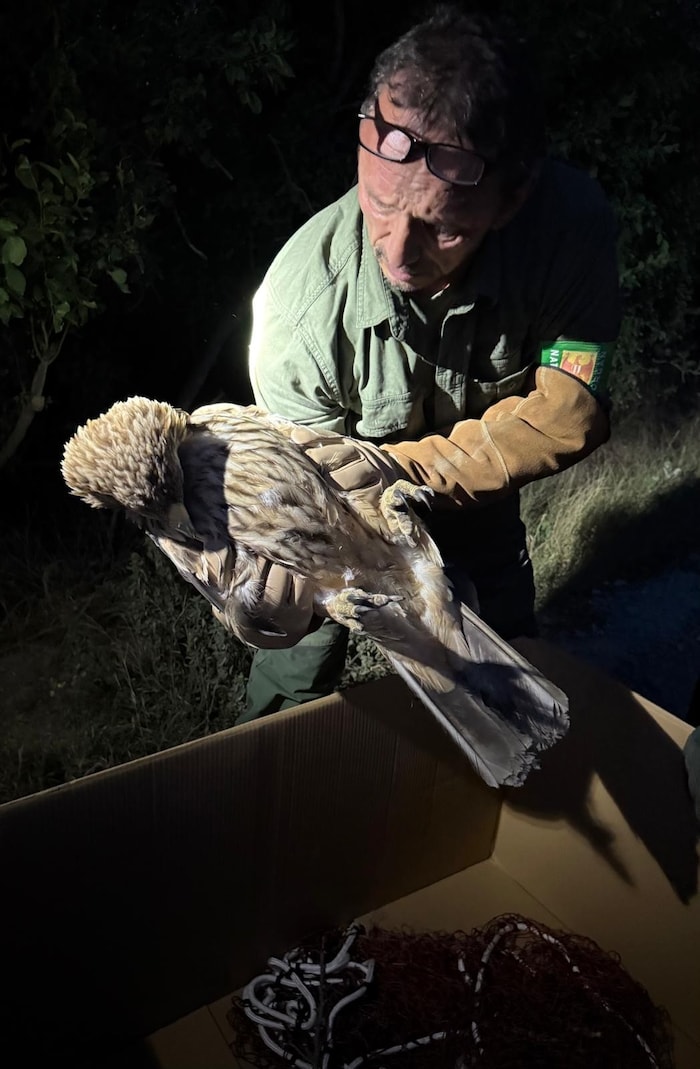 Hans-Peter Samwald mit dem gesicherten Kaiseradler