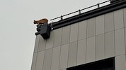 In luftiger Höhe sorgte „Larry“ für einen Feuerwehreinsatz.