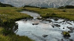 Auch heuer führen die heimischen Almbäche im Westen weniger Wasser.