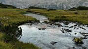 Auch heuer führen die heimischen Almbäche im Westen weniger Wasser.