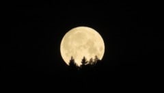 Der Vollmond erstrahlt im wenig lichtverschmutzten Waldviertel oft besonders hell und vermittelt ...