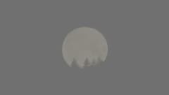 Der Vollmond erstrahlt im wenig lichtverschmutzten Waldviertel oft besonders hell und vermittelt ...