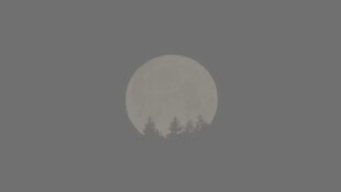 Der Vollmond erstrahlt im wenig lichtverschmutzten Waldviertel oft besonders hell und vermittelt ...